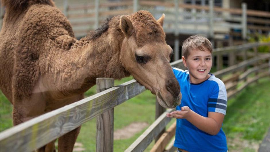 Join in for a fun-filled day packed with beautiful animals, a tractor ride, putt-putt golf, and playgrounds for everyone!
